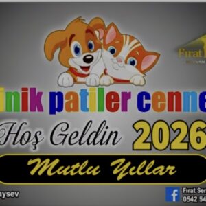 2026 Minik Patiler Cenneti Masa Takvimi